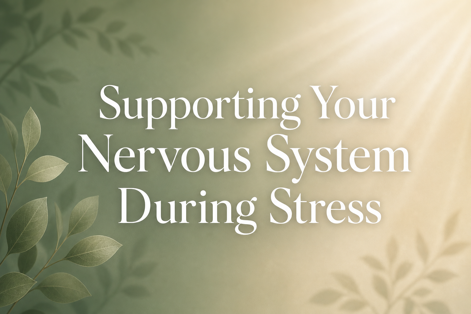 How to support your nervous system during stress — The Bridge Health Recovery Center