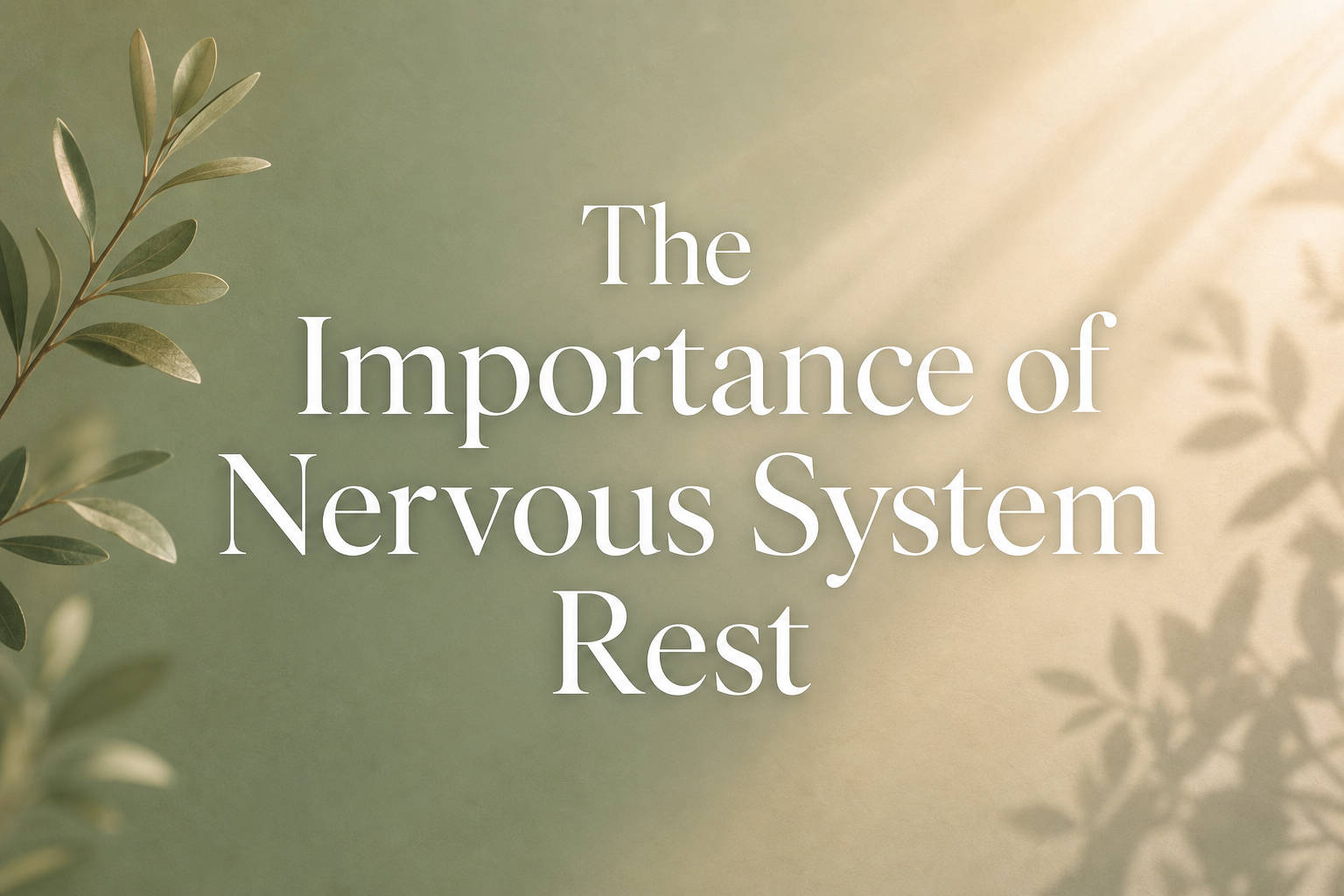 The Importance of Nervous System Rest: Why Your Body Needs Deep Recovery