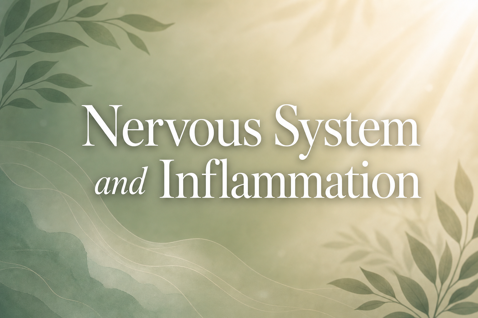 nervous system and inflammation connection