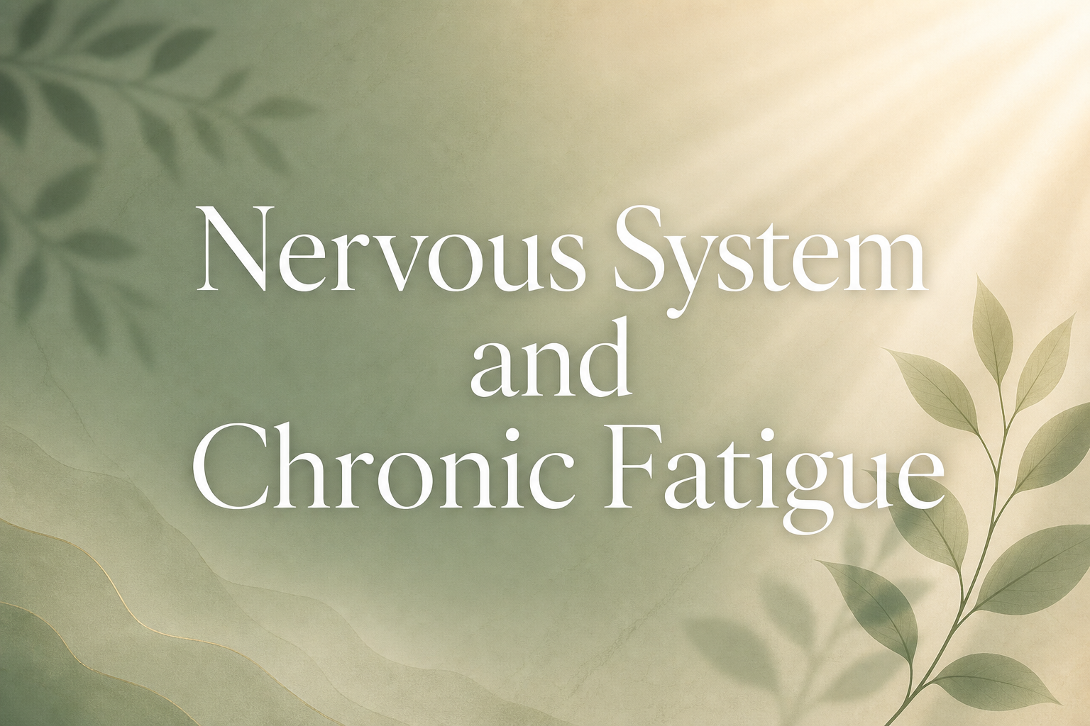 Nervous System and Chronic Fatigue: Why Your Body Is Stuck in Survival Mode