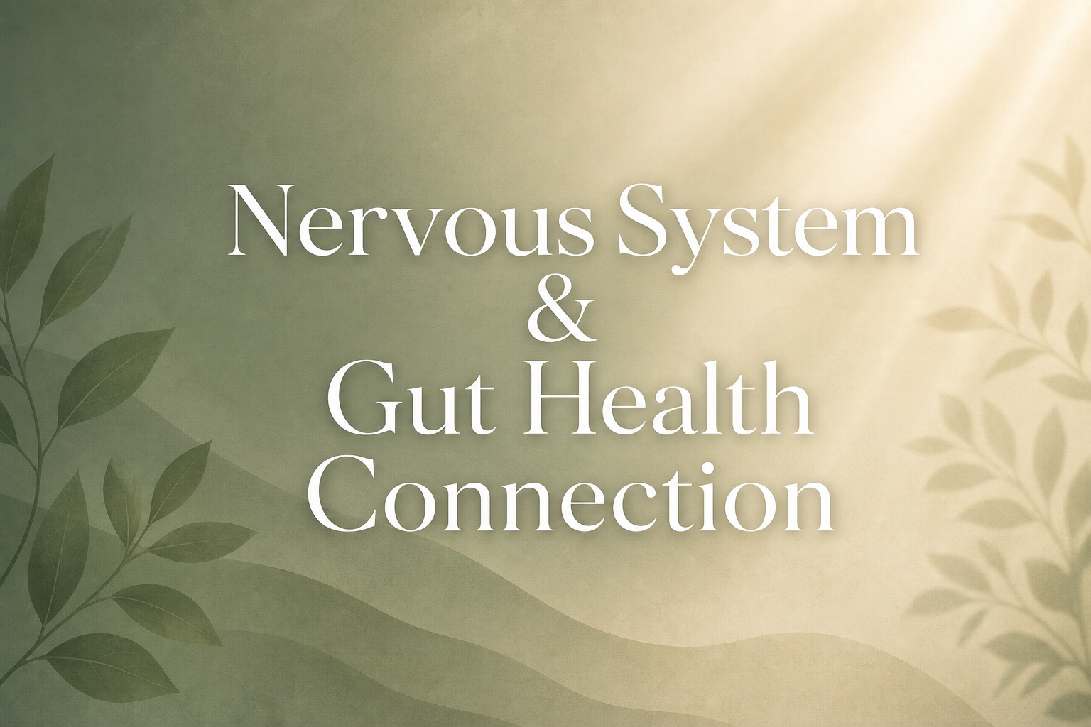 Nervous system and gut health connection diagram showing the gut-brain axis