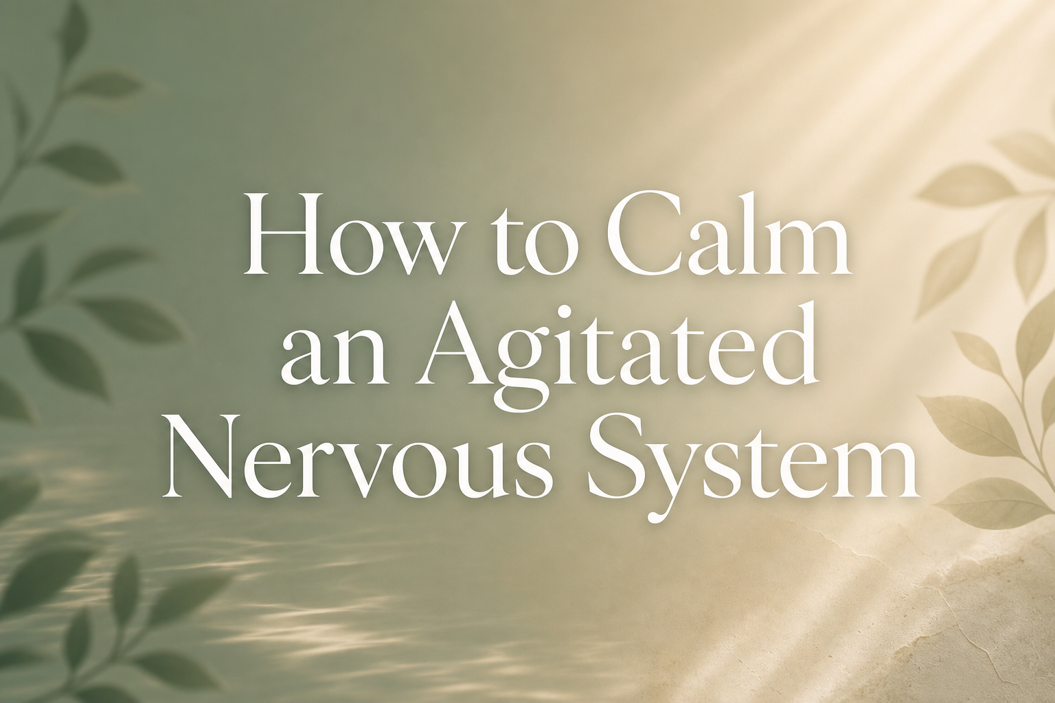 Nervous System Healing Retreats: The Complete Guide to Deep Recovery