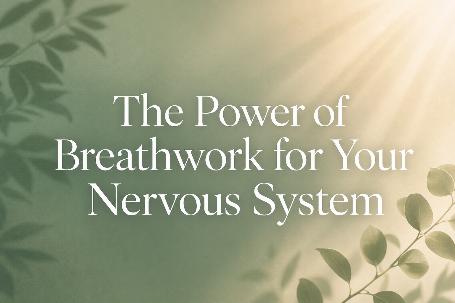 breathwork for nervous system — The Bridge Health Recovery Center