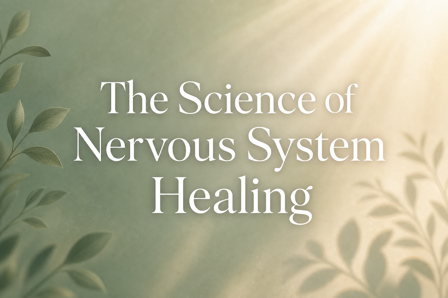 The Science of Nervous System Healing: How Your Body Learns to Feel Safe Again